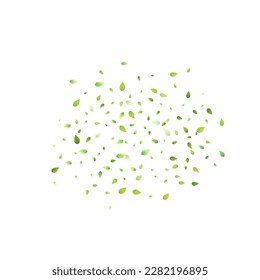 Leaves Green Falling. Spring Flying Foliage. Chaotic Leaf On White Background. Ecology Design, Nature Elements. Spring Sale Vector Illustration. Greenery Environment Backdrop.