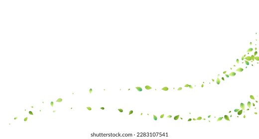 Leaves Green Falling. Spring Flying Foliage. Chaotic Leaf On White Background. Ecology Design, Nature Elements. Spring Sale Vector Illustration. Greenery Environment Backdrop.