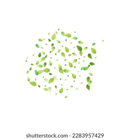 Leaves Green Falling. Spring Flying Foliage. Chaotic Leaf On White Background. Ecology Design, Nature Elements. Spring Sale Vector Illustration. Greenery Environment Backdrop.