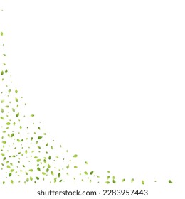 Deja La Caída Verde. Foliage volador de primavera. Hoja Caótica Sobre Fondo Blanco. Diseño ecológico, elementos naturales. Ilustración de vectores de venta de primavera. Entorno verde
