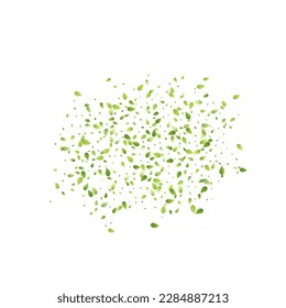 Leaves Green Falling. Spring Flying Foliage. Chaotic Leaf On White Background. Ecology Design, Nature Elements. Spring Sale Vector Illustration. Greenery Environment Backdrop.