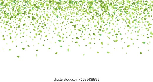 Leaves Green Falling. Spring Flying Foliage. Chaotic Leaf On White Background. Ecology Design, Nature Elements. Spring Sale Vector Illustration. Greenery Environment Backdrop.