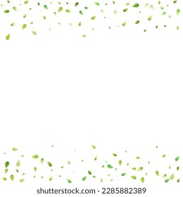 Leaves Green Falling. Spring Flying Foliage. Chaotic Leaf On White Background. Ecology Design, Nature Elements. Spring Sale Vector Illustration. Greenery Environment Backdrop.