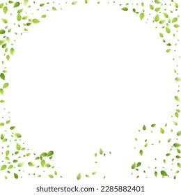 Leaves Green Falling. Spring Flying Foliage. Chaotic Leaf On White Background. Ecology Design, Nature Elements. Spring Sale Vector Illustration. Greenery Environment Backdrop.
