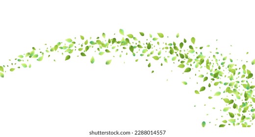 Leaves Green Falling. Spring Flying Foliage. Chaotic Leaf On White Background. Ecology Design, Nature Elements. Spring Sale Vector Illustration. Greenery Environment Backdrop.