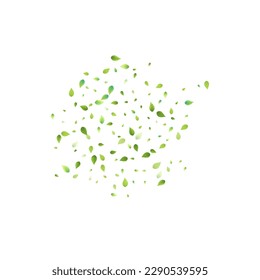 Bleibt grün fallen. Frühlingsfliegendes Blattwerk. Chaotisches Leaf auf weißem Hintergrund. Ökologiedesign, Naturelemente. Frühlingsverkäufer Vektorgrafik. Hintergrund der grünen Umgebung.