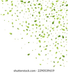 Leaves Green Falling. Spring Flying Foliage. Chaotic Leaf On White Background. Ecology Design, Nature Elements. Spring Sale Vector Illustration. Greenery Environment Backdrop.