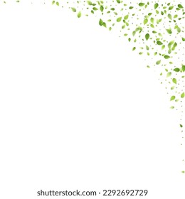 Leaves Green Falling. Spring Flying Foliage. Chaotic Leaf On White Background. Ecology Design, Nature Elements. Spring Sale Vector Illustration. Greenery Environment Backdrop.