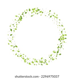 Leaves Green Falling. Spring Flying Foliage. Chaotic Leaf On White Background. Ecology Design, Nature Elements. Spring Sale Vector Illustration. Greenery Environment Backdrop.