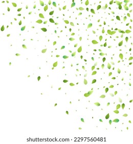 Leaves Green Falling. Spring Flying Foliage. Chaotic Leaf On White Background. Ecology Design, Nature Elements. Spring Sale Vector Illustration. Greenery Environment Backdrop.