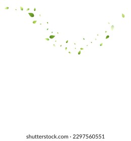 Leaves Green Falling. Spring Flying Foliage. Chaotic Leaf On White Background. Ecology Design, Nature Elements. Spring Sale Vector Illustration. Greenery Environment Backdrop.