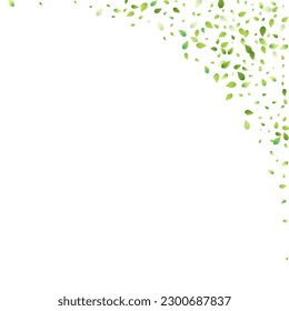 Leaves Green Falling. Spring Flying Foliage. Chaotic Leaf On White Background. Ecology Design, Nature Elements. Spring Sale Vector Illustration. Greenery Environment Backdrop.