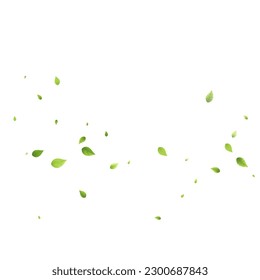 Deja La Caída Verde. Foliage volador de primavera. Hoja Caótica Sobre Fondo Blanco. Diseño ecológico, elementos naturales. Ilustración de vectores de venta de primavera. Entorno verde