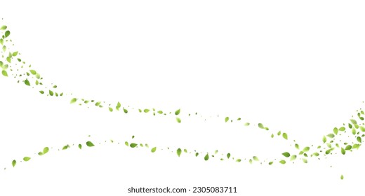Leaves Green Falling. Spring Flying Foliage. Chaotic Leaf On White Background. Ecology Design, Nature Elements. Spring Sale Vector Illustration. Greenery Environment Backdrop.