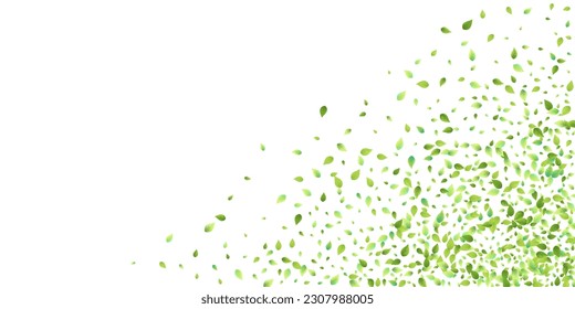 Leaves Green Falling. Spring Flying Foliage. Chaotic Leaf On White Background. Ecology Design, Nature Elements. Spring Sale Vector Illustration. Greenery Environment Backdrop.