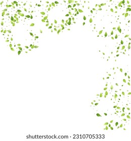 Leaves Green Falling. Spring Flying Foliage. Chaotic Leaf On White Background. Ecology Design, Nature Elements. Spring Sale Vector Illustration. Greenery Environment Backdrop.