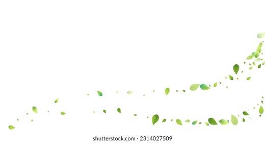 Leaves Green Falling. Spring Flying Foliage. Chaotic Leaf On White Background. Ecology Design, Nature Elements. Spring Sale Vector Illustration. Greenery Environment Backdrop.