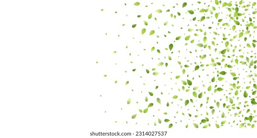 Leaves Green Falling. Spring Flying Foliage. Chaotic Leaf On White Background. Ecology Design, Nature Elements. Spring Sale Vector Illustration. Greenery Environment Backdrop.