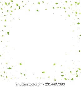 Leaves Green Falling. Spring Flying Foliage. Chaotic Leaf On White Background. Ecology Design, Nature Elements. Spring Sale Vector Illustration. Greenery Environment Backdrop.