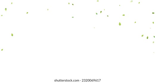 Leaves Green Falling. Spring Flying Foliage. Chaotic Leaf On White Background. Ecology Design, Nature Elements. Spring Sale Vector Illustration. Greenery Environment Backdrop.
