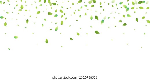Leaves Green Falling. Spring Flying Foliage. Chaotic Leaf On White Background. Ecology Design, Nature Elements. Spring Sale Vector Illustration. Greenery Environment Backdrop.