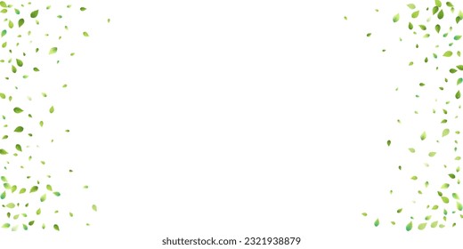 Leaves Green Falling. Spring Flying Foliage. Chaotic Leaf On White Background. Ecology Design, Nature Elements. Spring Sale Vector Illustration. Greenery Environment Backdrop.