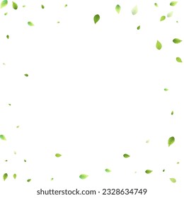 Leaves Green Falling. Spring Flying Foliage. Chaotic Leaf On White Background. Ecology Design, Nature Elements. Spring Sale Vector Illustration. Greenery Environment Backdrop.
