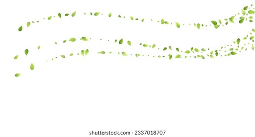 Leaves Green Falling. Spring Flying Foliage. Chaotic Leaf On White Background. Ecology Design, Nature Elements. Spring Sale Vector Illustration. Greenery Environment Backdrop.