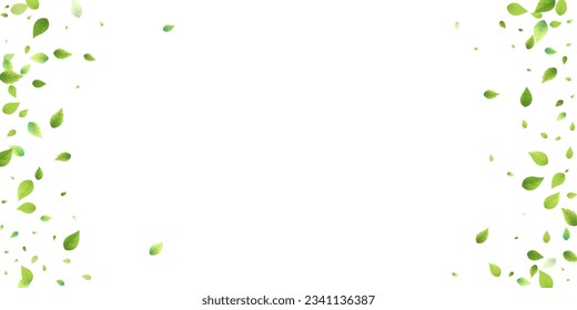 Leaves Green Falling. Spring Flying Foliage. Chaotic Leaf On White Background. Ecology Design, Nature Elements. Spring Sale Vector Illustration. Greenery Environment Backdrop.