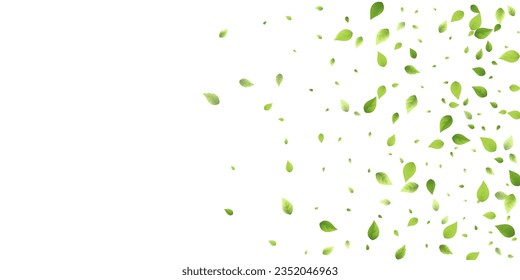 Leaves Green Falling. Spring Flying Foliage. Chaotic Leaf On White Background. Ecology Design, Nature Elements. Spring Sale Vector Illustration. Greenery Environment Backdrop.