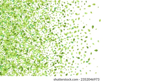Leaves Green Falling. Spring Flying Foliage. Chaotic Leaf On White Background. Ecology Design, Nature Elements. Spring Sale Vector Illustration. Greenery Environment Backdrop.