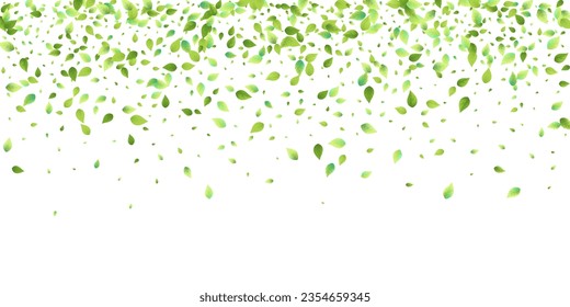 Leaves Green Falling. Spring Flying Foliage. Chaotic Leaf On White Background. Ecology Design, Nature Elements. Spring Sale Vector Illustration. Greenery Environment Backdrop.