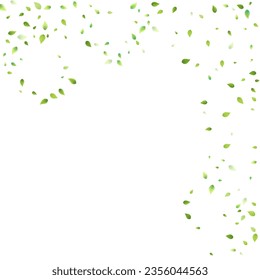 Leaves Green Falling. Spring Flying Foliage. Chaotic Leaf On White Background. Ecology Design, Nature Elements. Spring Sale Vector Illustration. Greenery Environment Backdrop.