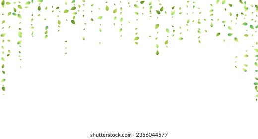 Leaves Green Falling. Spring Flying Foliage. Chaotic Leaf On White Background. Ecology Design, Nature Elements. Spring Sale Vector Illustration. Greenery Environment Backdrop.