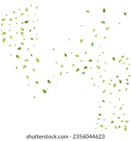 Leaves Green Falling. Spring Flying Foliage. Chaotic Leaf On White Background. Ecology Design, Nature Elements. Spring Sale Vector Illustration. Greenery Environment Backdrop.