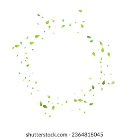 Leaves Green Falling. Spring Flying Foliage. Chaotic Leaf On White Background. Ecology Design, Nature Elements. Spring Sale Vector Illustration. Greenery Environment Backdrop.