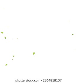 Leaves Green Falling. Spring Flying Foliage. Chaotic Leaf On White Background. Ecology Design, Nature Elements. Spring Sale Vector Illustration. Greenery Environment Backdrop.