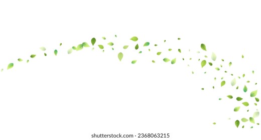 Leaves Green Falling. Spring Flying Foliage. Chaotic Leaf On White Background. Ecology Design, Nature Elements. Spring Sale Vector Illustration. Greenery Environment Backdrop.