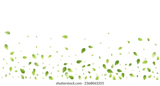 Leaves Green Falling. Spring Flying Foliage. Chaotic Leaf On White Background. Ecology Design, Nature Elements. Spring Sale Vector Illustration. Greenery Environment Backdrop.