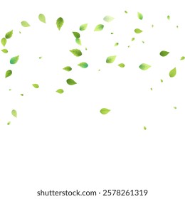 Leaves Green Falling. Spring Flying Foliage. Chaotic Leaf On White Background. Ecology Design, Nature Elements. Spring Sale Vector Illustration. Greenery Environment Backdrop.