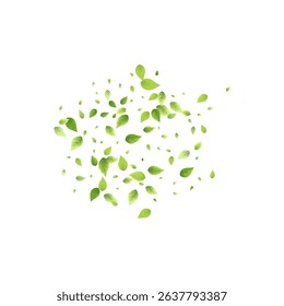 Leaves Green Falling. Spring Flying Foliage. Chaotic Leaf On White Background. Ecology Design, Nature Elements. Spring Sale Vector Illustration. Greenery Environment Backdrop.