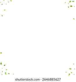 Deixa A Queda Verde. Foliagem Voadora primavera. Folha Caótica Sobre Fundo Branco. Ecologia Design, Elementos da Natureza. Ilustração de vetor de venda de mola. Fundo de Ambiente Verde.