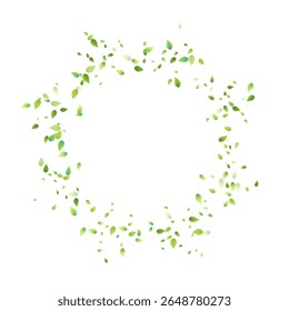Deixa A Queda Verde. Foliagem Voadora primavera. Folha Caótica Sobre Fundo Branco. Ecologia Design, Elementos da Natureza. Ilustração de vetor de venda de mola. Fundo de Ambiente Verde.