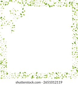 Deixa A Queda Verde. Foliagem Voadora primavera. Folha Caótica Sobre Fundo Branco. Ecologia Design, Elementos da Natureza. Ilustração de vetor de venda de mola. Fundo de Ambiente Verde.