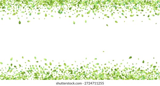 Deixa A Queda Verde. Foliagem Voadora primavera. Folha Caótica Sobre Fundo Branco. Ecologia Design, Elementos da Natureza. Ilustração de vetor de venda de mola. Fundo de Ambiente Verde.