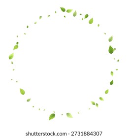 Leaves Green Falling. Spring Flying Foliage. Chaotic Leaf On White Background. Ecology Design, Nature Elements. Spring Sale Vector Illustration. Greenery Environment Backdrop.