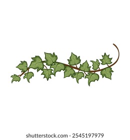 leaves green ivy cartoon. growth lush, wall garden, outdoor indoor leaves green ivy sign. isolated symbol vector illustration