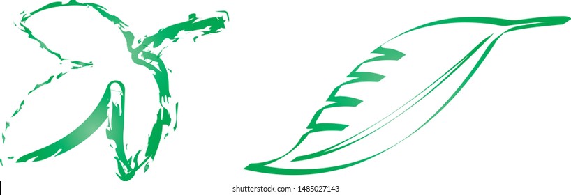 Leaves, green lines and contrasting white background