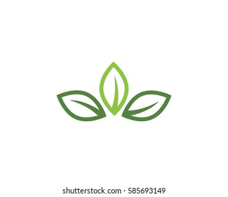 leaves  green logo
