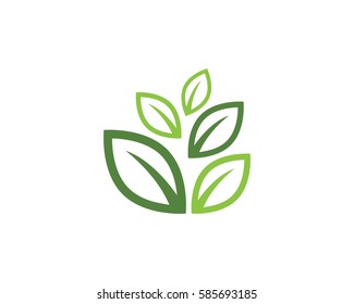leaves  green logo
